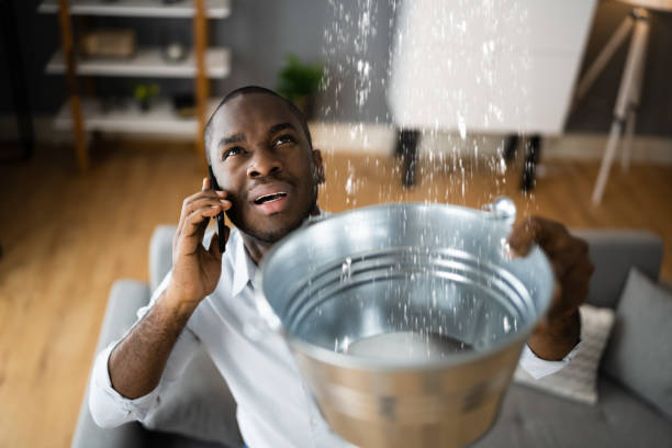 Best Flood damage cleanup  in Nth Plains, OR