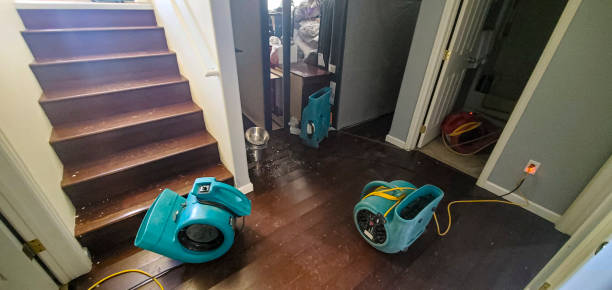 Best 24-hour water damage restoration  in Nth Plains, OR