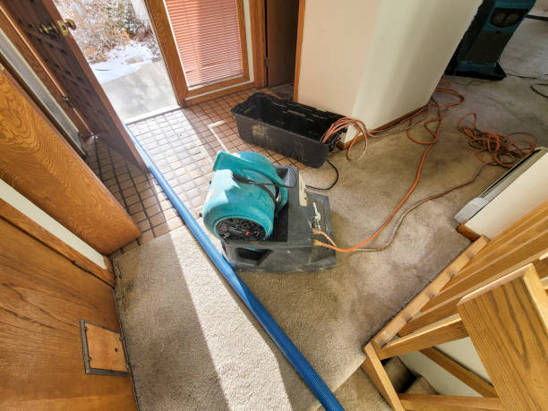 Best Carpet water damage restoration  in Nth Plains, OR