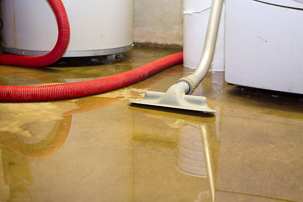Reliable North Plains, OR Water damage restoration Solutions