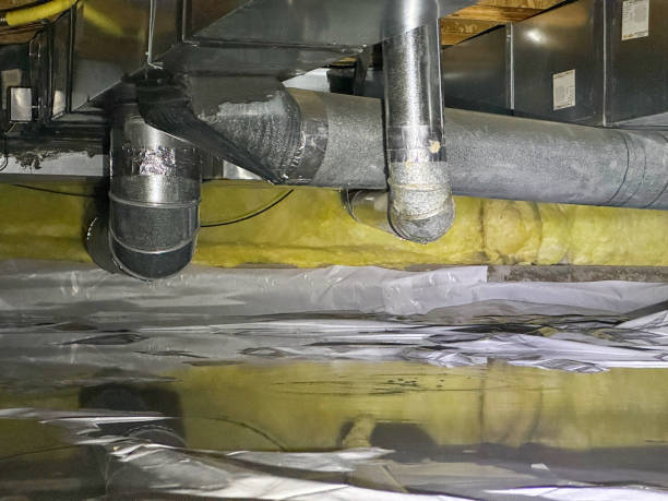 Best Water damage cleanup near me  in Nth Plains, OR