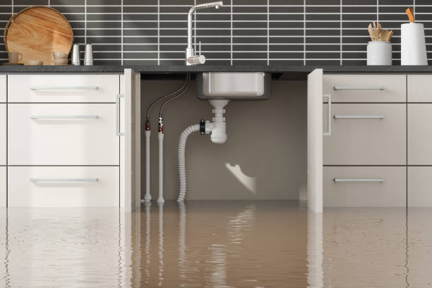 Best Mold removal after water damage  in Nth Plains, OR