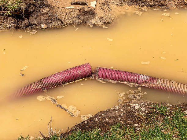 Best Flood restoration services  in Nth Plains, OR