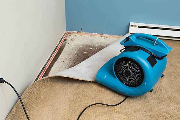 Best Basement water damage restoration  in Nth Plains, OR